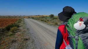 Qué ver, Camino Santiago